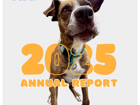 2025 Annual Report (1080 x 1080 px)