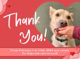 2025 V-Day Fundraiser - Social Thank You