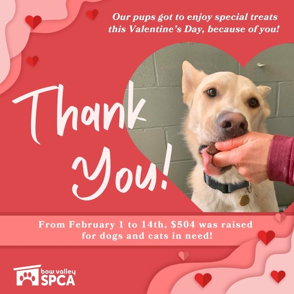 2025 V-Day Fundraiser - Social Thank You