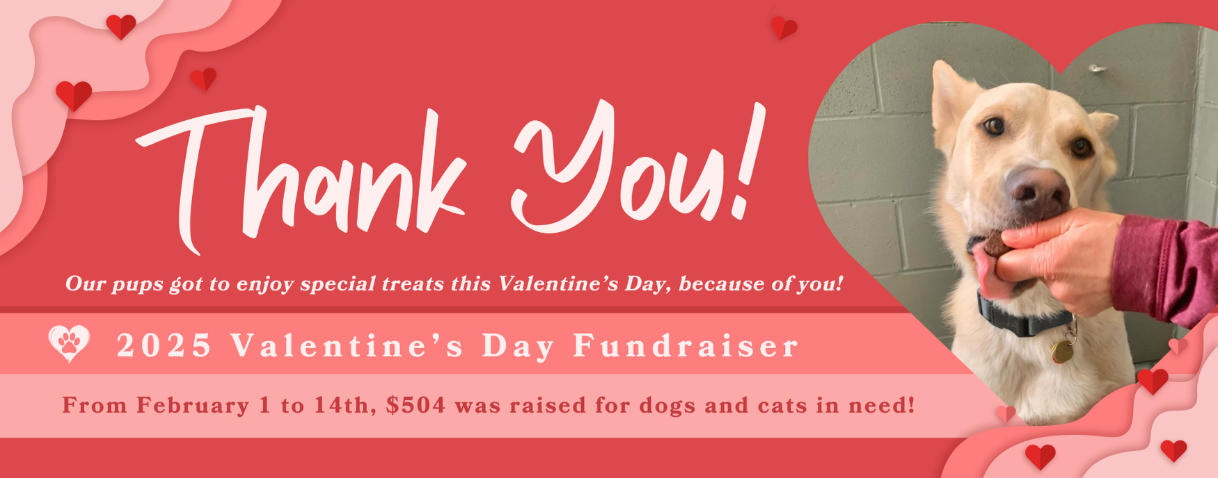 2025 V-Day Fundraiser - Web Thank You