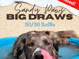 5050 Raffle - Facebook Post (1080 x 1080 px) news website