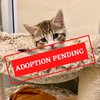 ADOPTION PENDING (4)