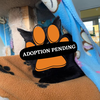 Adoption Pending (84)