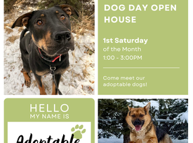 April DDOH for Website