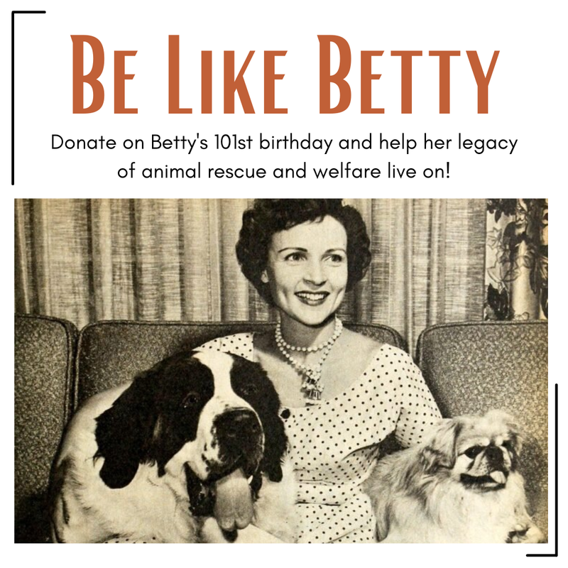 Betty White Challenge BVSPCA