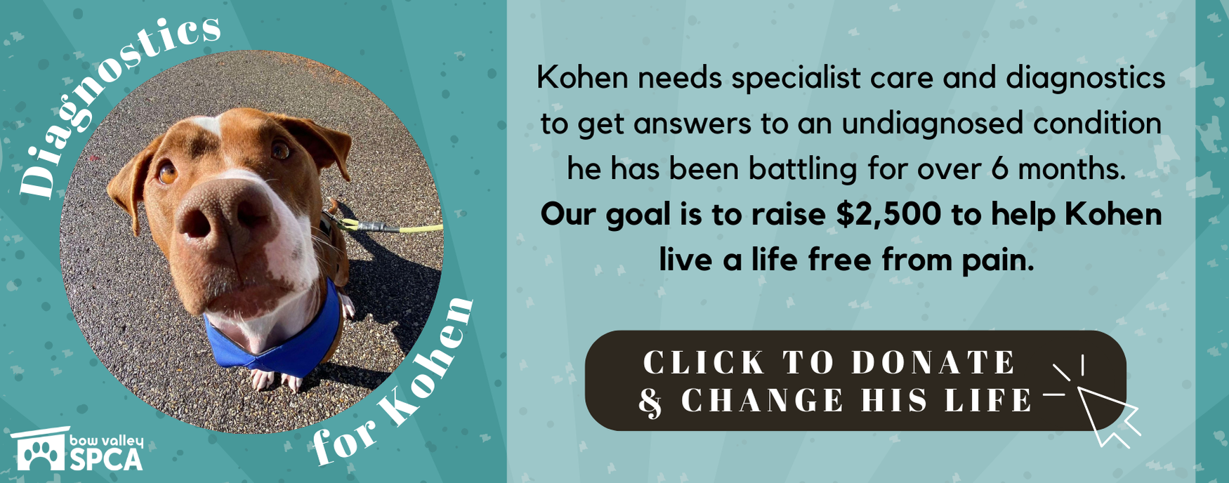 Change Kohens Life 2024 - Website Banner