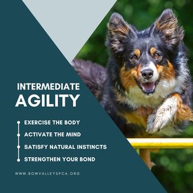 Intermediate Agility - Social Media Square