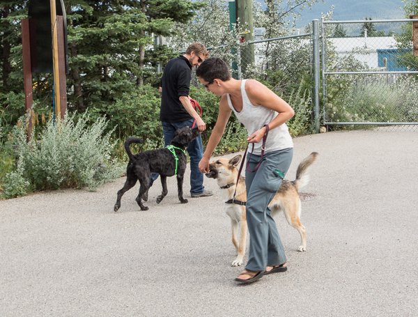 Leash Lovers