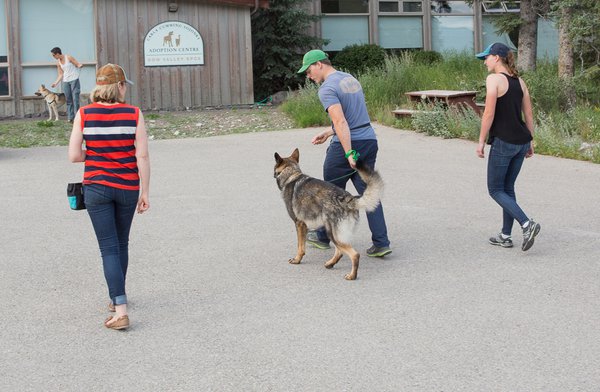 Leash Lovers