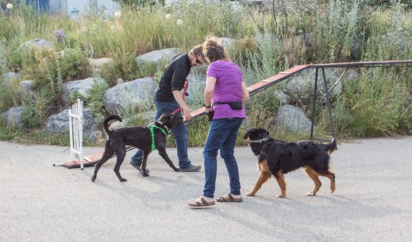 Leash Lovers