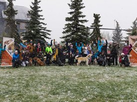 Mutt Strut Group