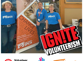 NVW Pancake Bfast - Web News