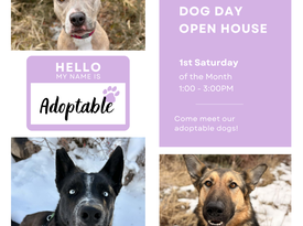 New Instagram Size - DDOH (1080 x 1080 px)