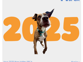 News Item cover for 2025 Wrapped Video Link (1080 x 1080 px)