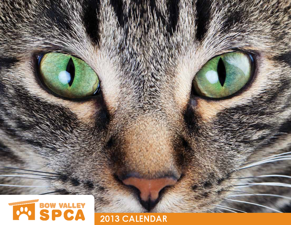 SPCA_Cal_2013_proof-5JP_Page_01.png