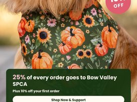 bowvalleyspca-tagsforhope-square